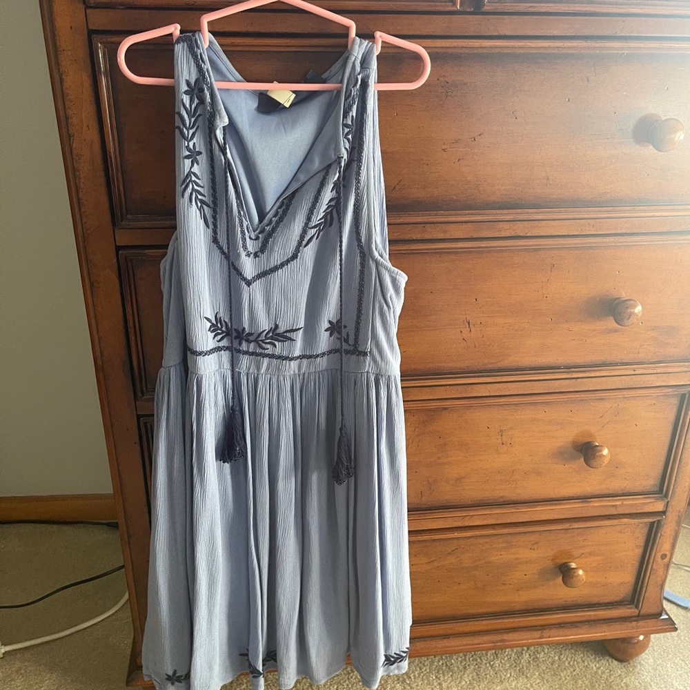 Francesca’s Blue Dress
